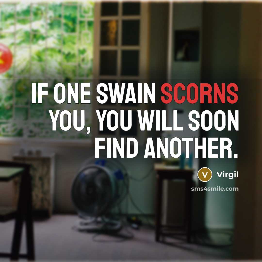 “If one swain scorns you, you will soon find another.” quote by Virgil