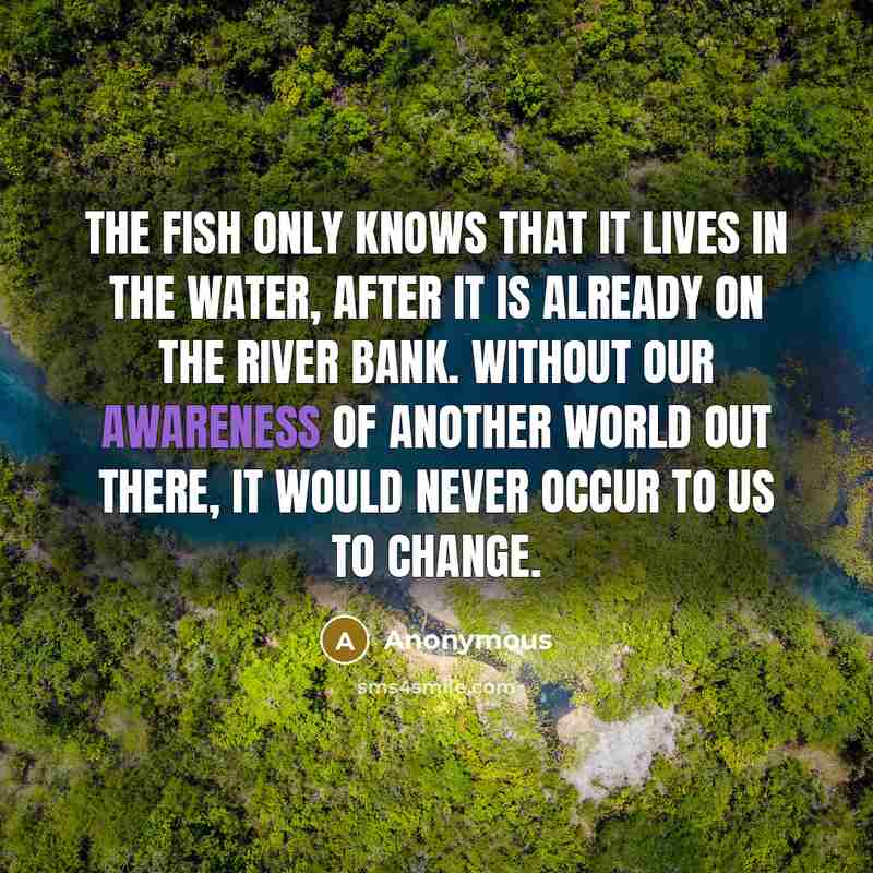 “The fish only knows that it lives in the water, after it is already on the river bank. Without our awareness of another world out there, it would never occur to us to change.” quote by Anonymous