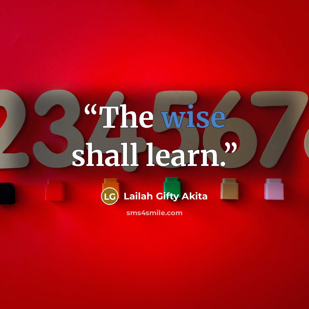 “The wise shall learn.” quote by Lailah Gifty Akita