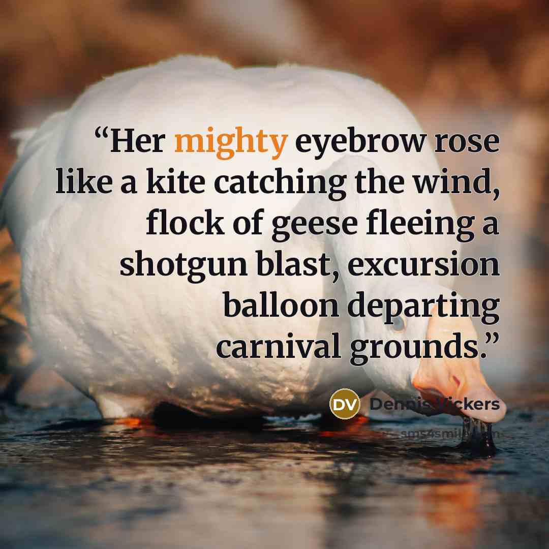 “Her mighty eyebrow rose like a kite catching the wind, flock of geese fleeing a shotgun blast, excursion balloon departing carnival grounds.” quote by Dennis Vickers