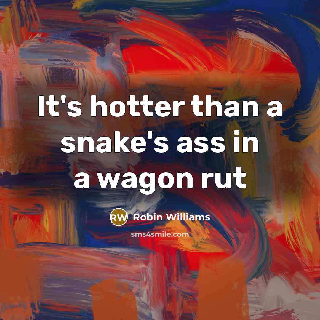 “It's hotter than a snake's ass in a wagon rut” quote by Robin Williams