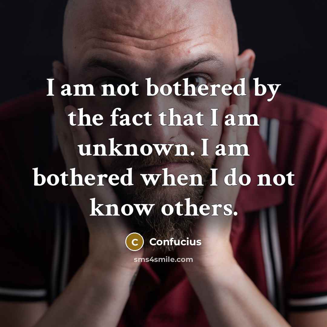 “I am not bothered by the fact that I am unknown. I am bothered when I do not know others.” quote by Confucius