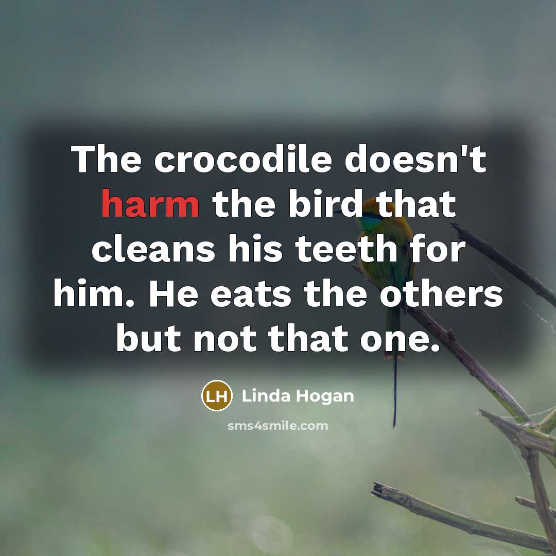 “The crocodile doesn't harm the bird that cleans his teeth for him. He eats the others but not that one.” quote by Linda Hogan