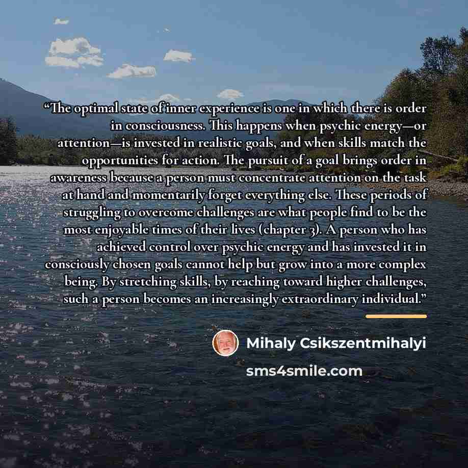 “The optimal state of inner experience is one in which there is order in consciousness. This happens when psychic energy—or attention—is invested in realistic goals, and when skills match the opportunities for action. The pursuit of a goal brings order in awareness because a person must concentrate…” quote by Mihaly Csikszentmihalyi