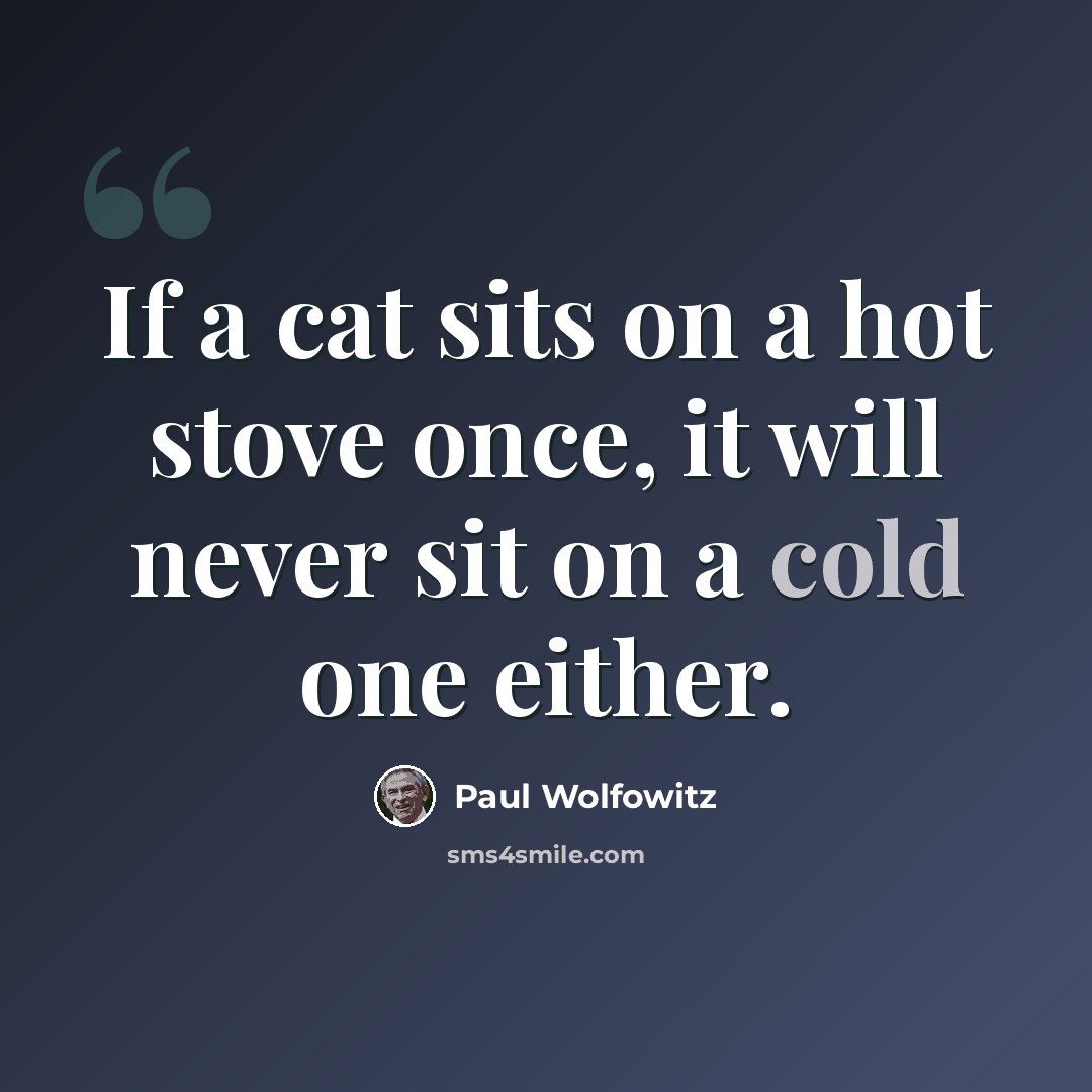 “If a cat sits on a hot stove once, it will never sit on a cold one either.” quote by Paul Wolfowitz