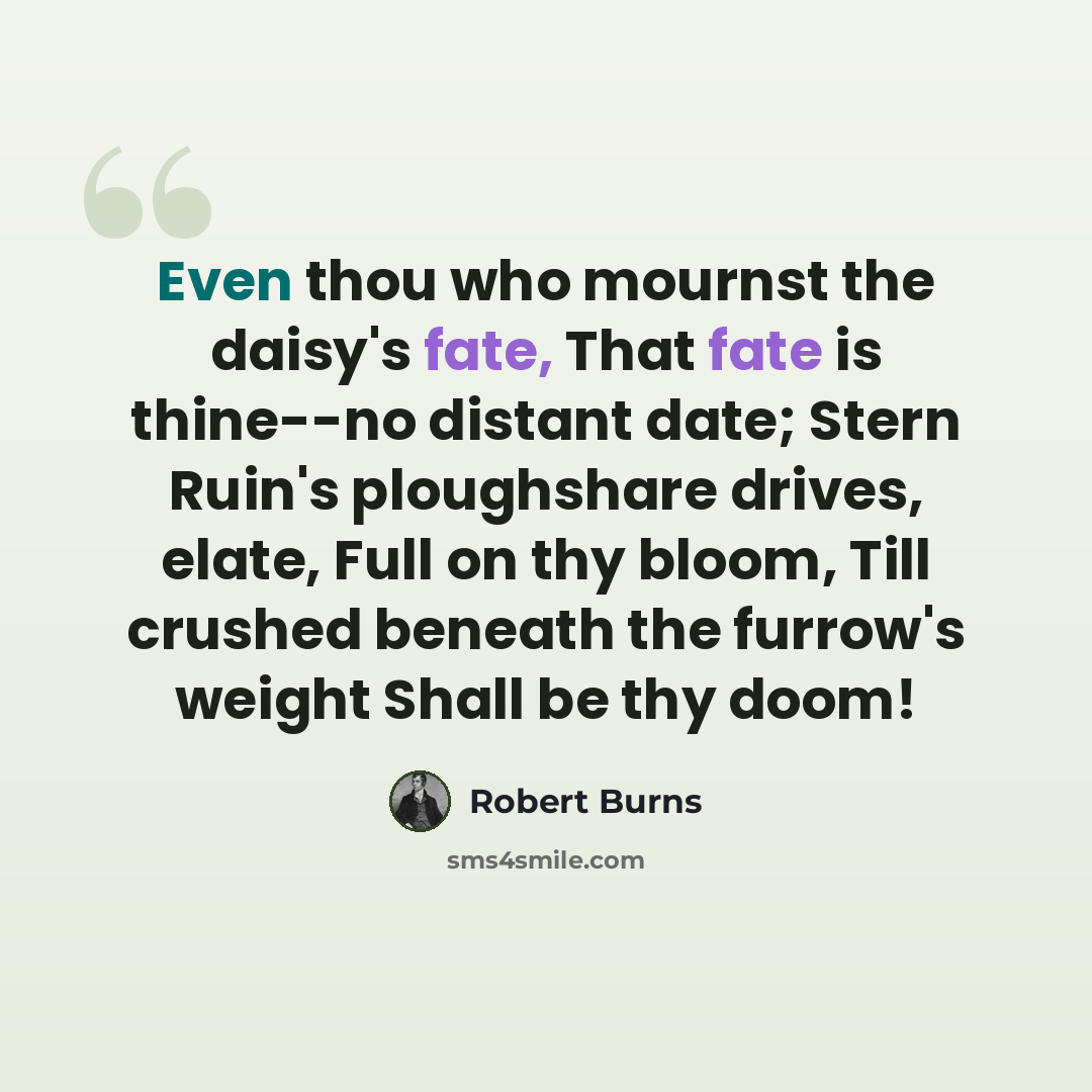 “Even thou who mournst the daisy's fate, That fate is thine--no distant date; Stern Ruin's ploughshare drives, elate, Full on thy bloom, Till crushed beneath the furrow's weight Shall be thy doom!” quote by Robert Burns