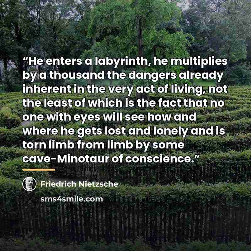 “He enters a labyrinth, he multiplies by a thousand the dangers already inherent in the very act of living, not the least of which is the fact that no one with eyes will see how and where he gets lost and lonely and is torn limb from limb by some cave-Minotaur of conscience.” quote by Friedrich Nietzsche