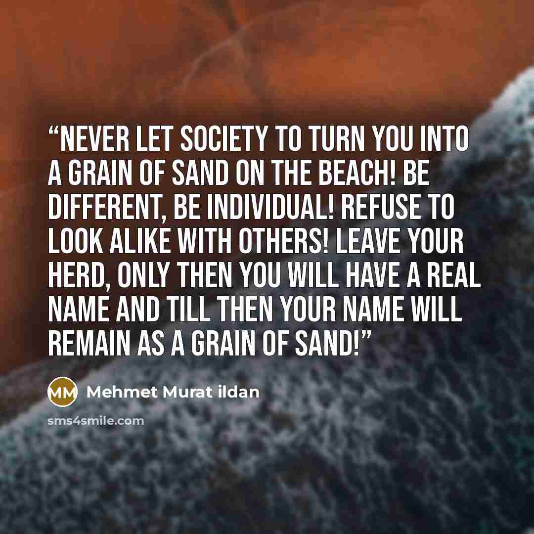 “Never let society to turn you into a grain of sand on the beach! Be different, be individual! Refuse to look alike with others! Leave your herd, only then you will have a real name and till then your name will remain as a grain of sand!” quote by Mehmet Murat ildan