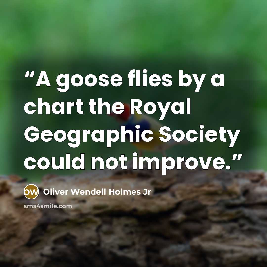 “A goose flies by a chart the Royal Geographic Society could not improve.” quote by Oliver Wendell Holmes Jr