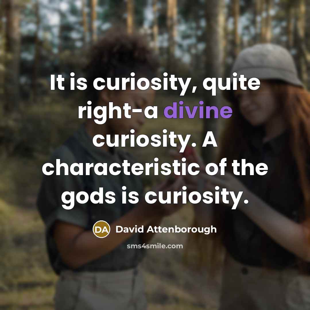 “It is curiosity, quite right-a divine curiosity. A characteristic of the gods is curiosity.” quote by David Attenborough