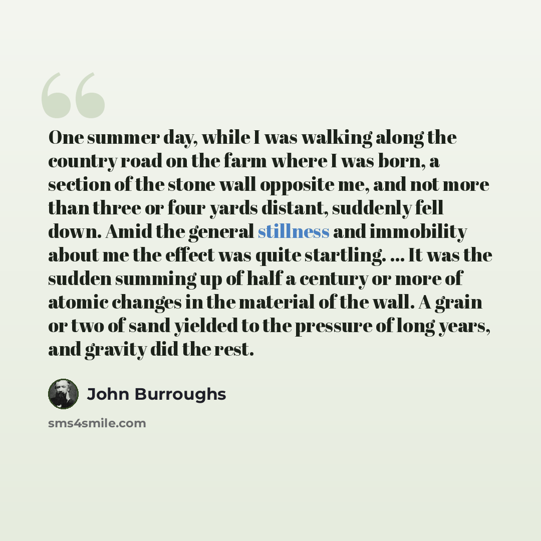“One summer day, while I was walking along the country road on the farm where I was born, a section of the stone wall opposite me, and not more than three or four yards distant, suddenly fell down. Amid the general stillness and immobility about me the effect was quite startling. ... It was the…” quote by John Burroughs