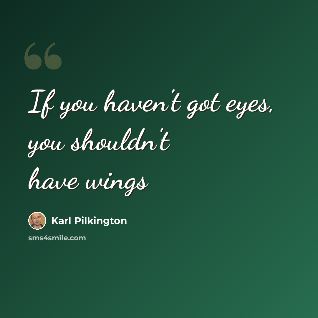 “If you haven't got eyes, you shouldn't have wings” quote by Karl Pilkington