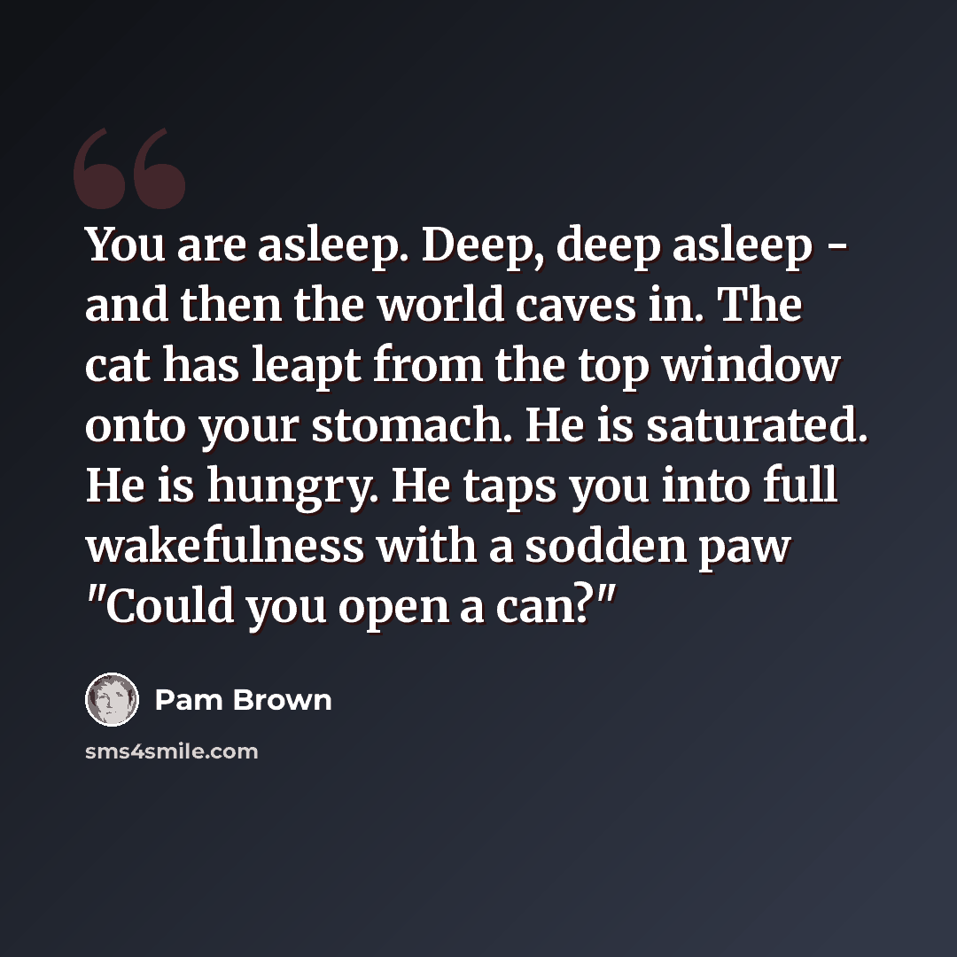“You are asleep. Deep, deep asleep - and then the world caves in. The cat has leapt from the top window onto your stomach. He is saturated. He is hungry. He taps you into full wakefulness with a sodden paw "Could you open a can?"” quote by Pam Brown