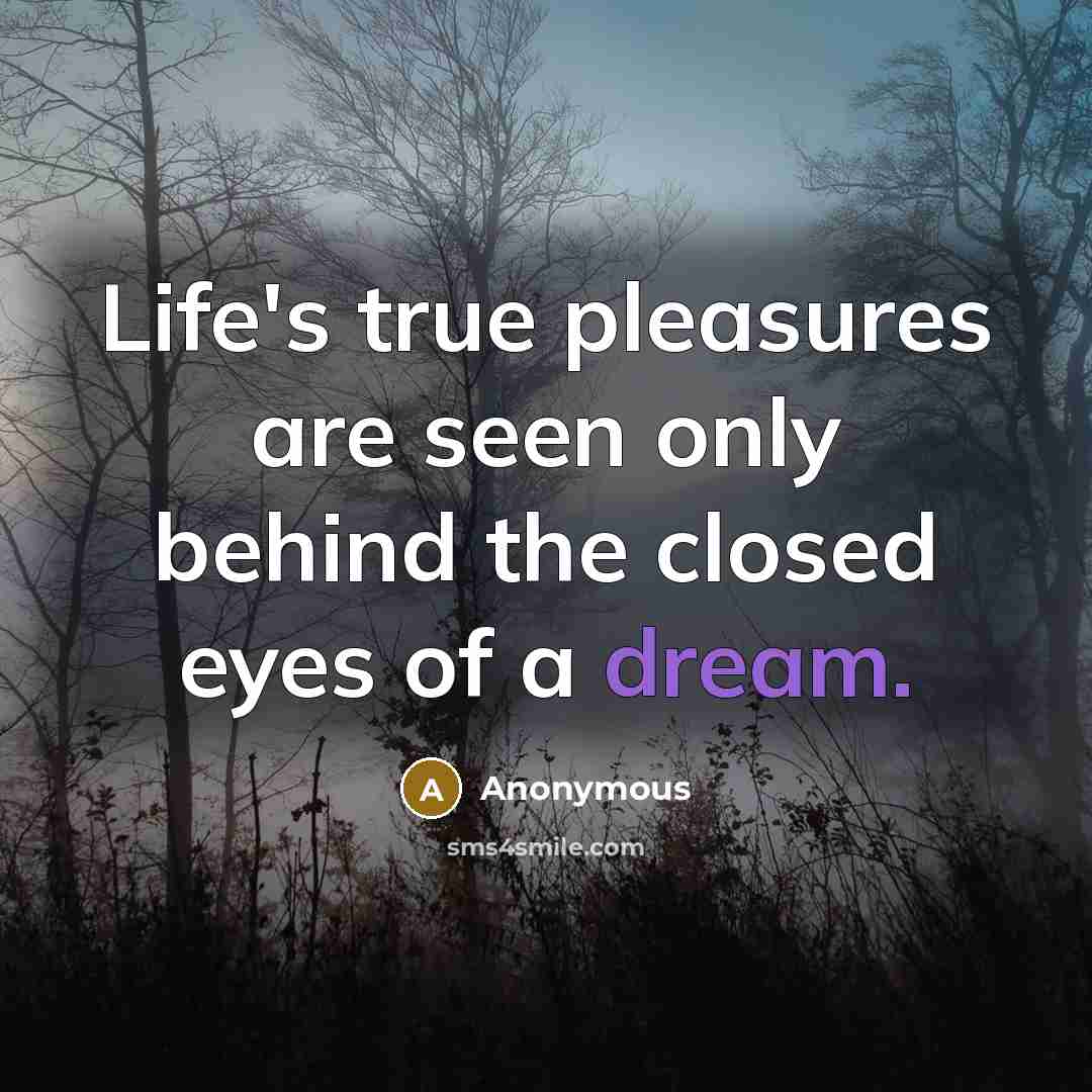 “Life's true pleasures are seen only behind the closed eyes of a dream.” quote by Anonymous