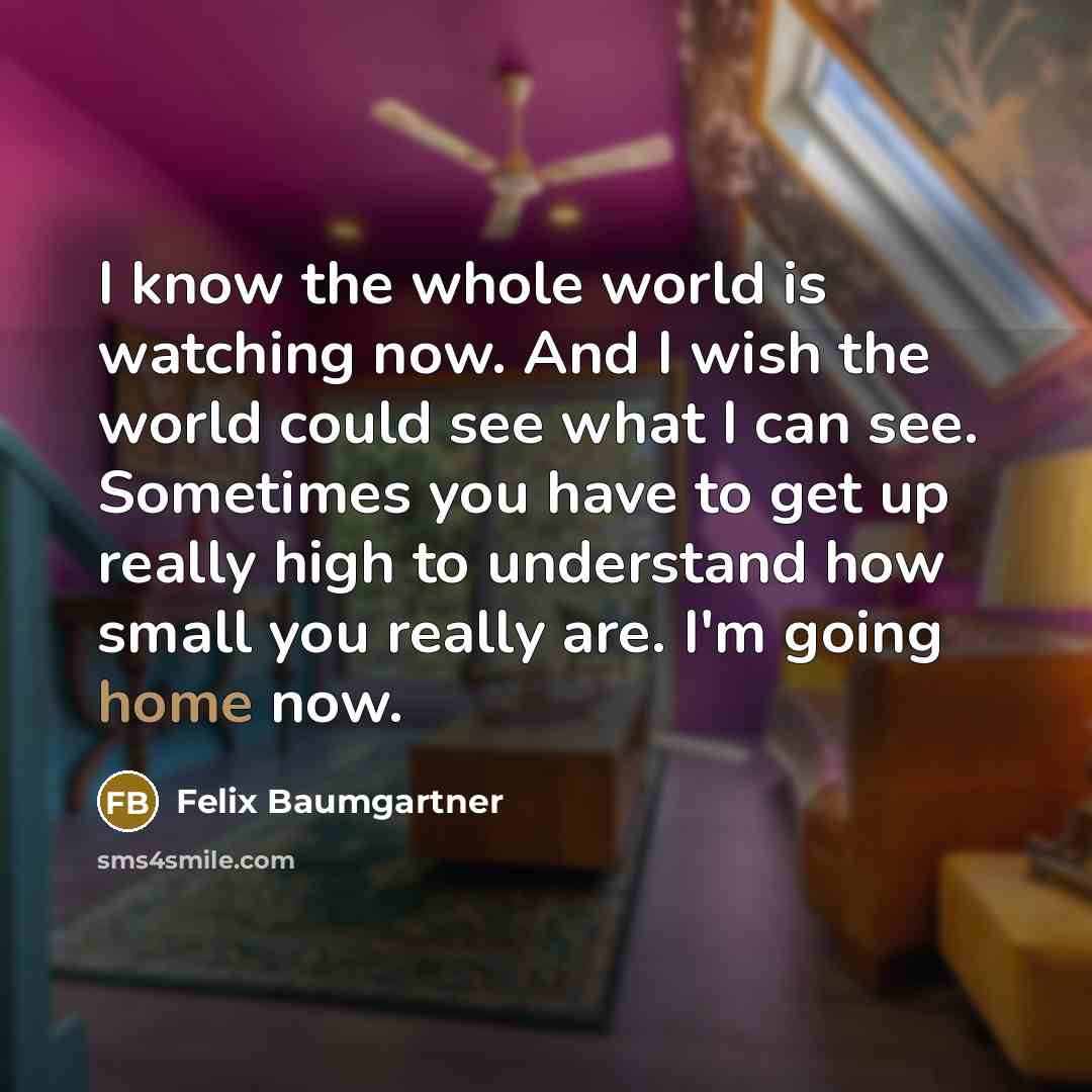 “I know the whole world is watching now. And I wish the world could see what I can see. Sometimes you have to get up really high to understand how small you really are. I'm going home now.” quote by Felix Baumgartner