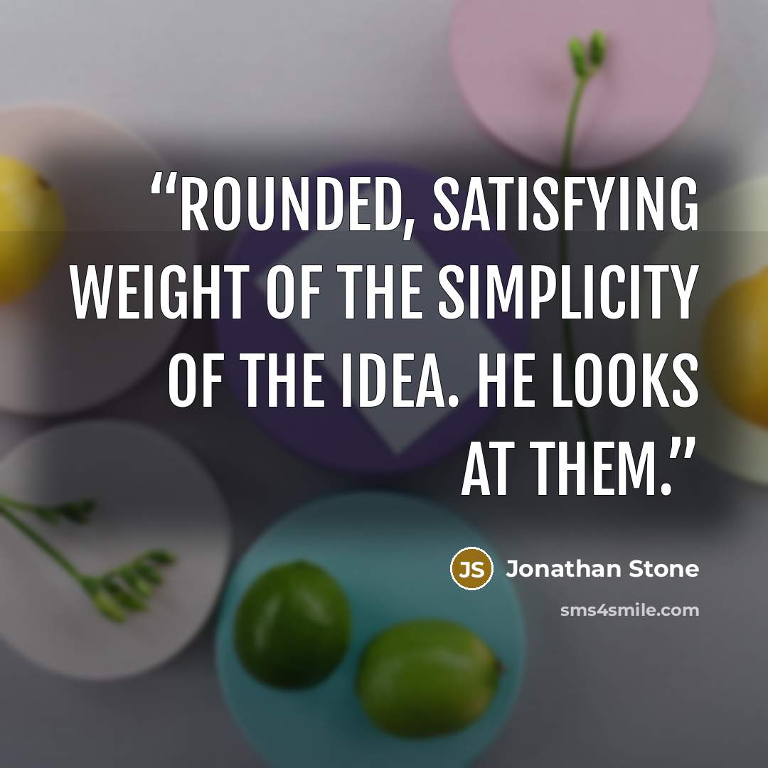 “rounded, satisfying weight of the simplicity of the idea. He looks at them.” quote by Jonathan Stone