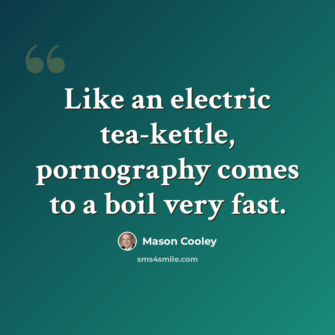 “Like an electric tea-kettle, pornography comes to a boil very fast.” quote by Mason Cooley
