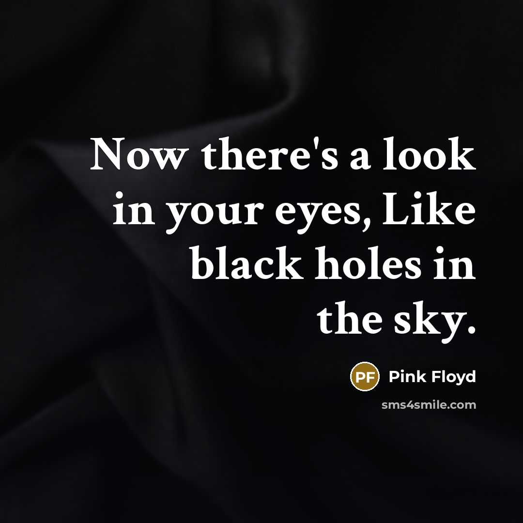 “Now there's a look in your eyes, Like black holes in the sky.” quote by Pink Floyd