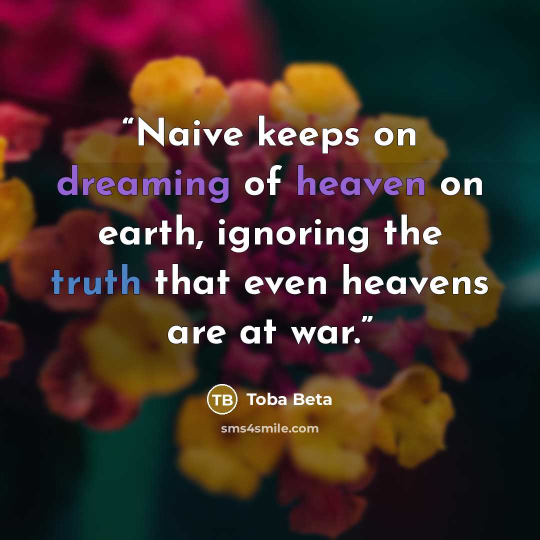 “Naive keeps on dreaming of heaven on earth, ignoring the truth that even heavens are at war.” quote by Toba Beta