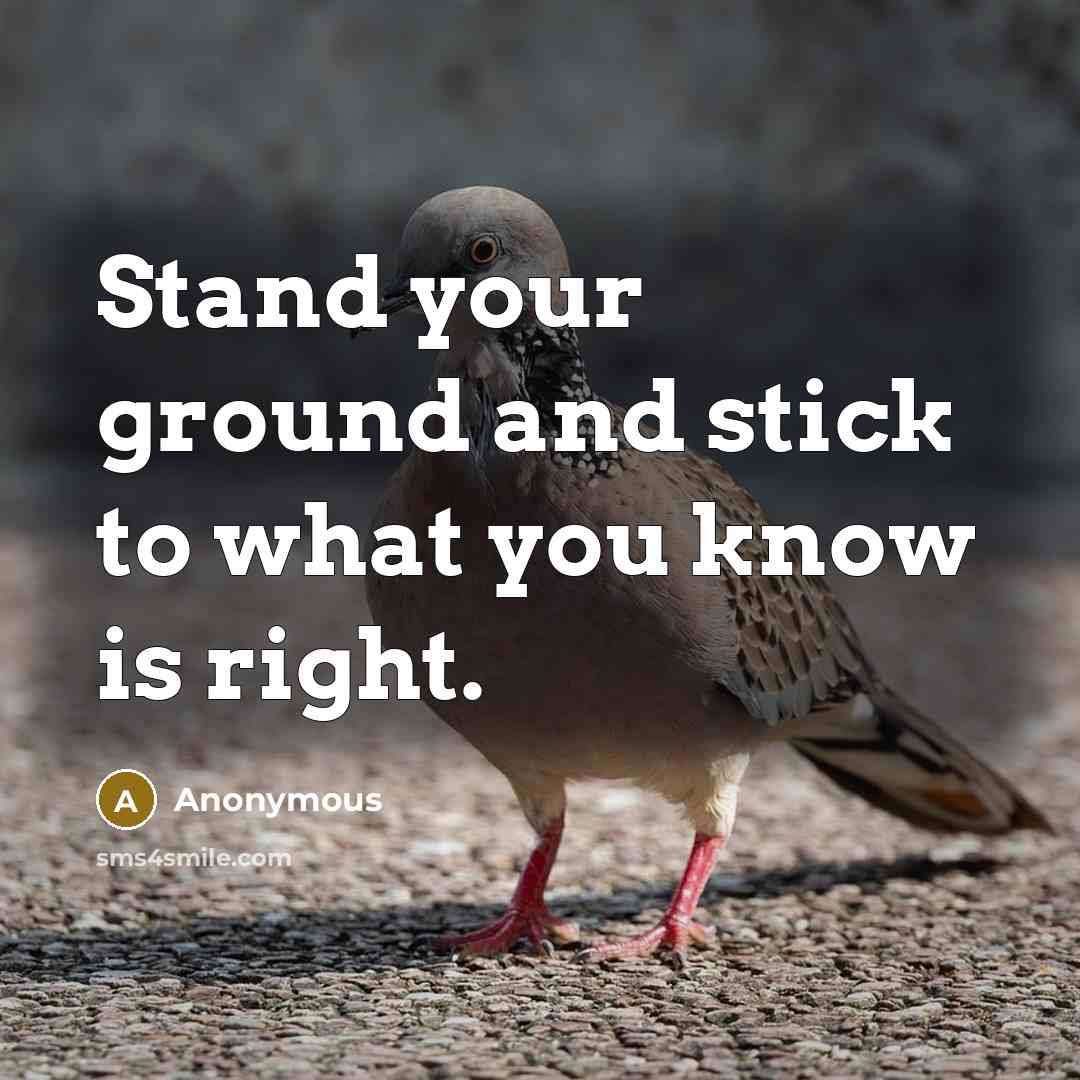“Stand your ground and stick to what you know is right.” quote by Anonymous