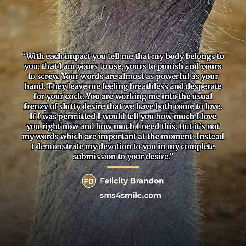 “With each impact you tell me that my body belongs to you; that I am yours to use, yours to punish and yours to screw. Your words are almost as powerful as your hand. They leave me feeling breathless and desperate for your cock. You are working me into the usual frenzy of slutty desire that we have…” quote by Felicity Brandon