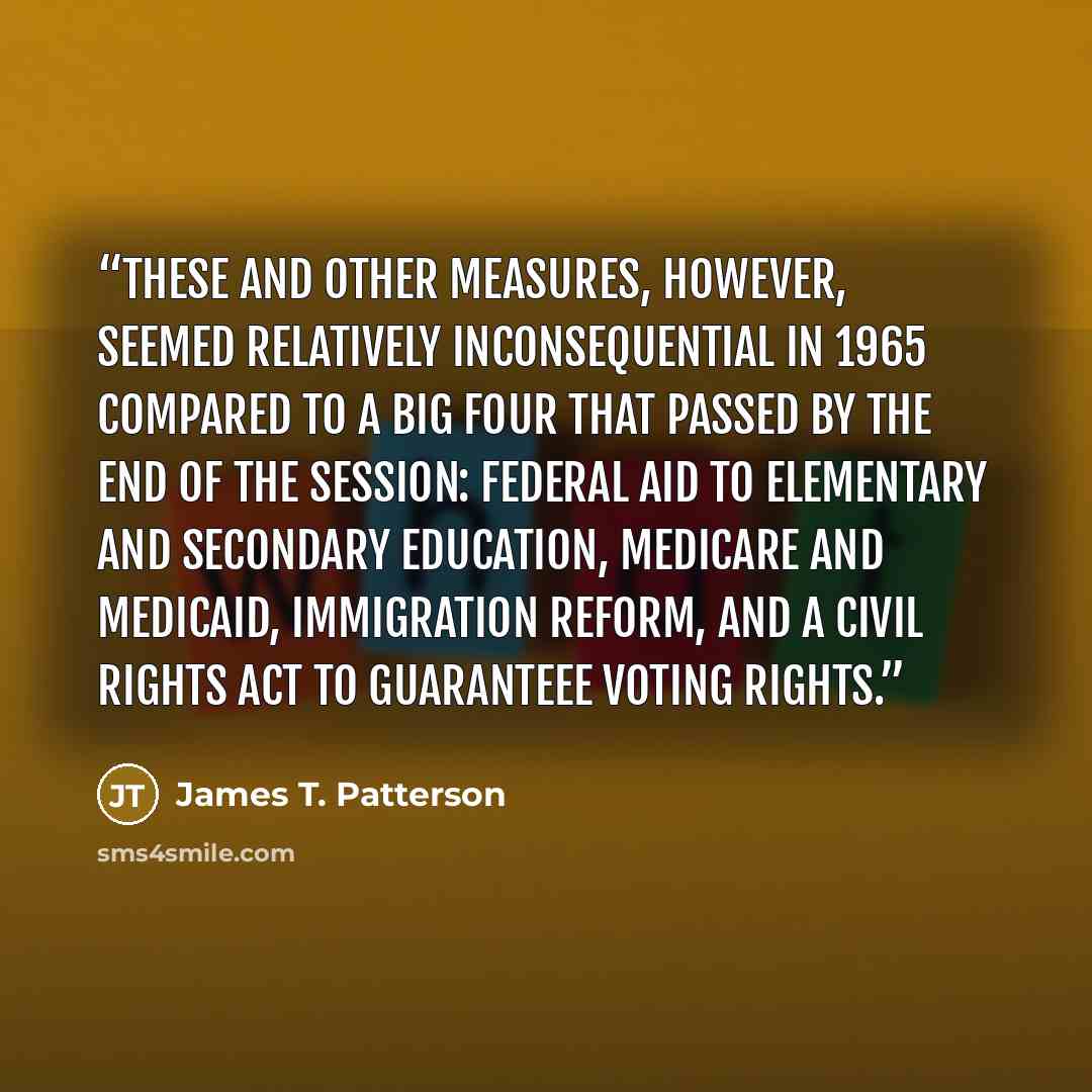 “These and other measures, however, seemed relatively inconsequential in 1965 compared to a Big Four that passed by the end of the session: federal aid to elementary and secondary education, Medicare and Medicaid, immigration reform, and a civil rights act to guaranteee voting rights.” quote by James T. Patterson