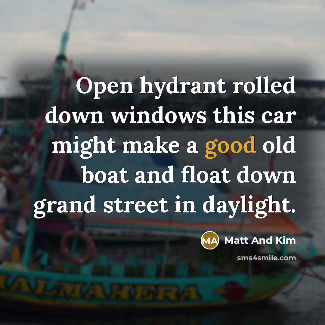 “Open hydrant rolled down windows this car might make a good old boat and float down grand street in daylight.” quote by Matt And Kim