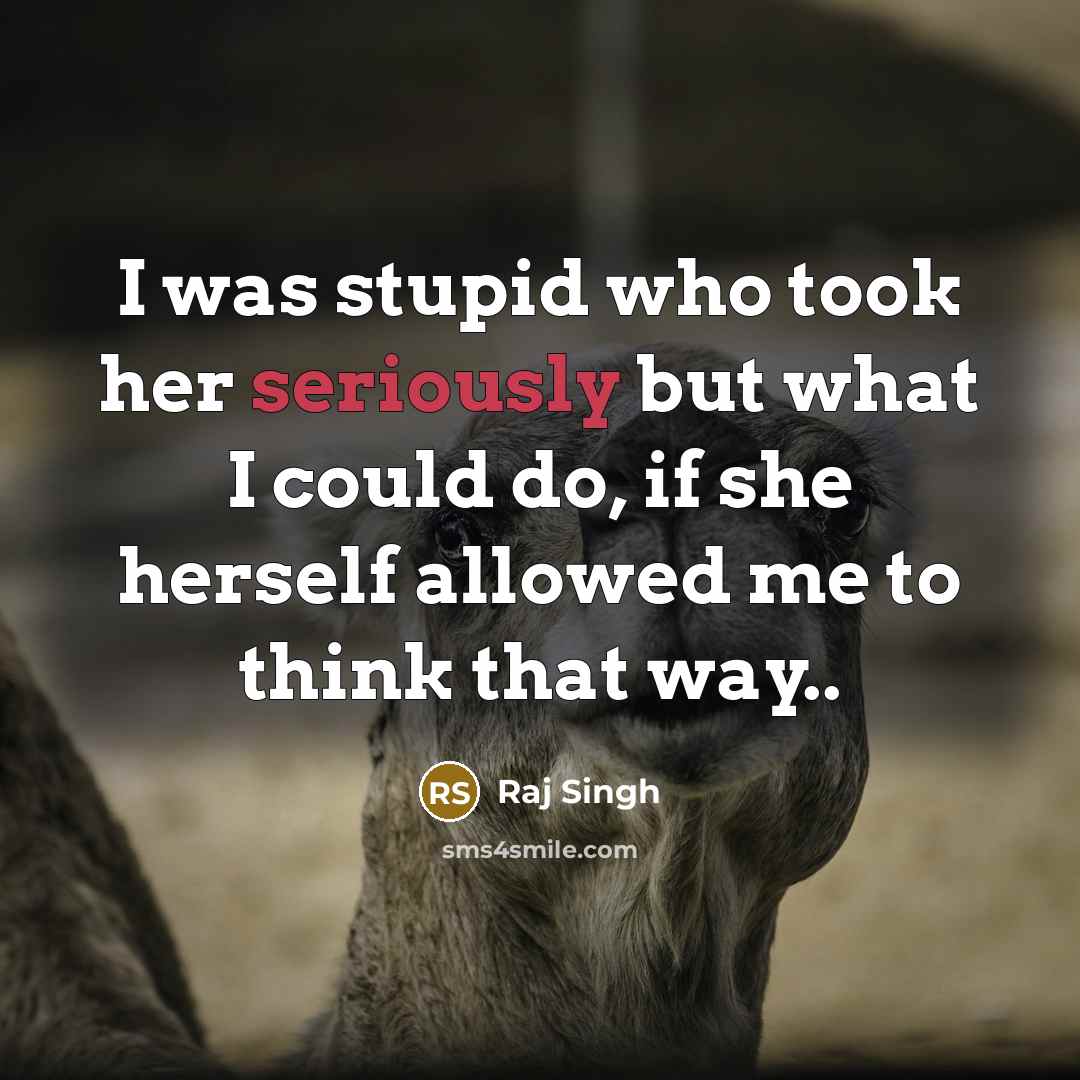“I was stupid who took her seriously but what I could do, if she herself allowed me to think that way..” quote by Raj Singh