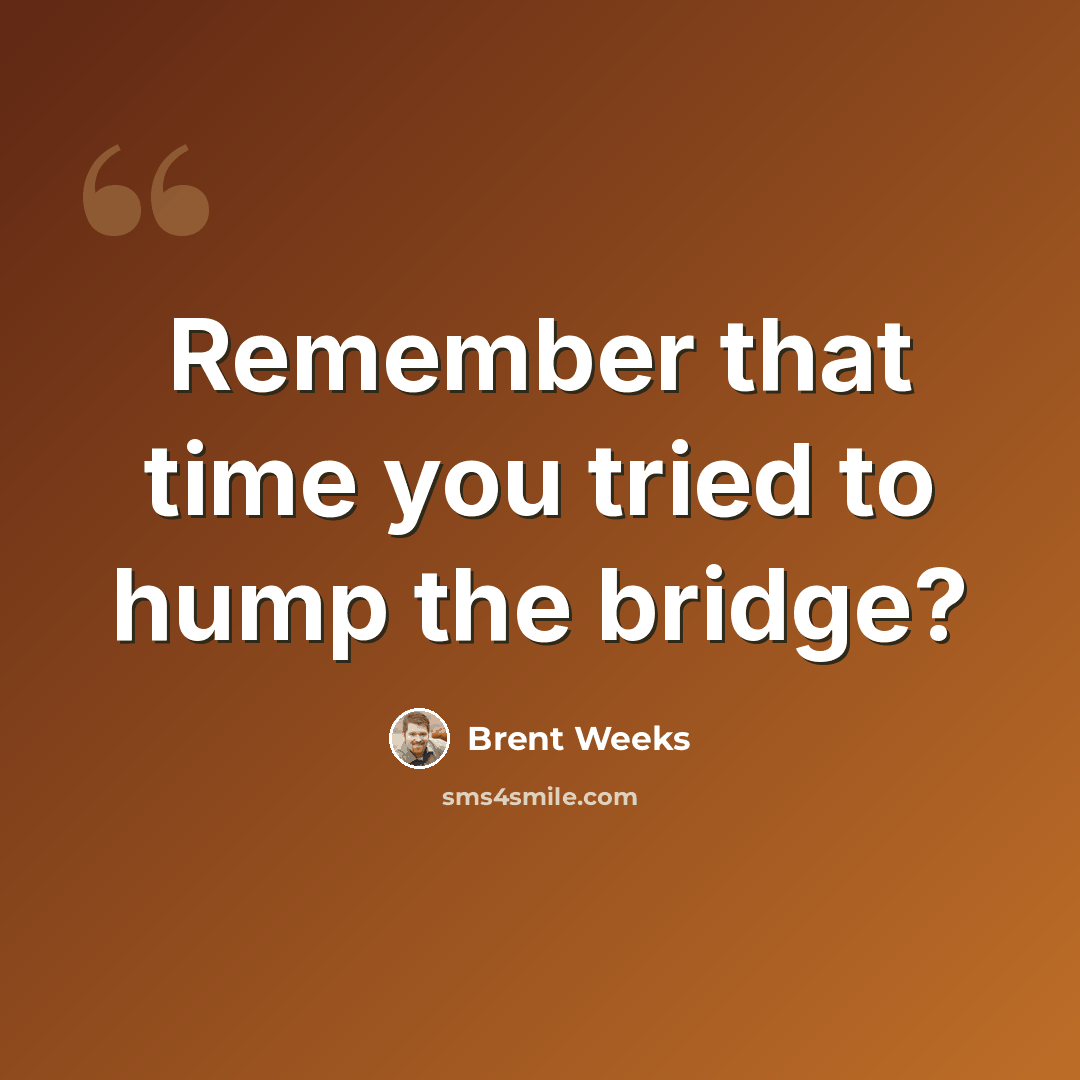 “Remember that time you tried to hump the bridge?” quote by Brent Weeks