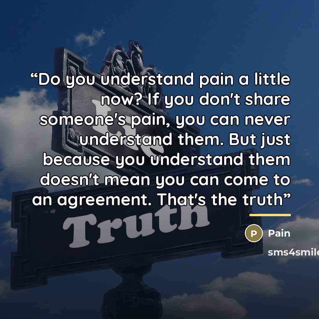 “Do you understand pain a little now? If you don't share someone's pain, you can never understand them. But just because you understand them doesn't mean you can come to an agreement. That's the truth” quote by Pain