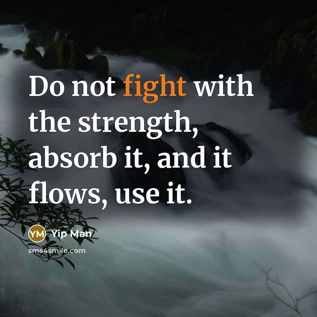 “Do not fight with the strength, absorb it, and it flows, use it.” quote by Yip Man