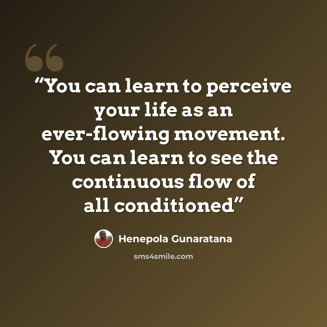 “You can learn to perceive your life as an ever-flowing movement. You can learn to see the continuous flow of all conditioned” quote by Henepola Gunaratana