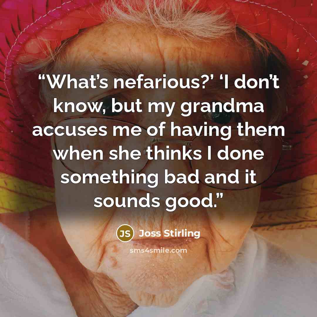 “What’s nefarious?’ ‘I don’t know, but my grandma accuses me of having them when she thinks I done something bad and it sounds good.” quote by Joss Stirling