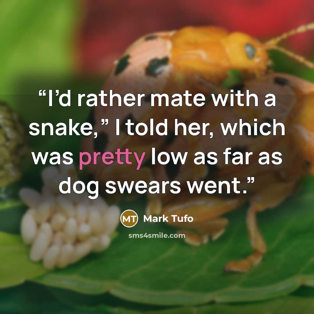 “I’d rather mate with a snake,” I told her, which was pretty low as far as dog swears went.” quote by Mark Tufo