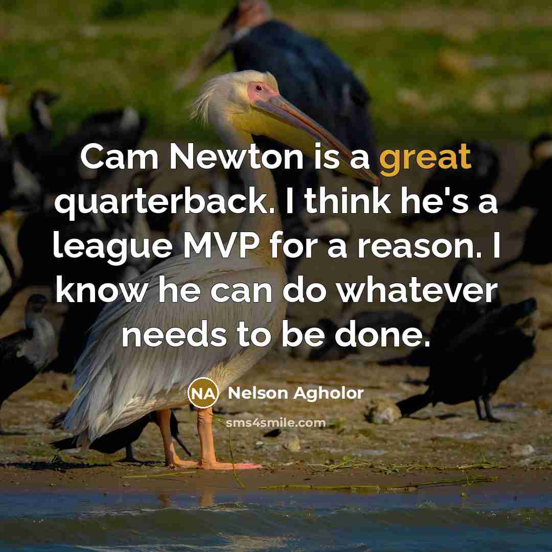 “Cam Newton is a great quarterback. I think he's a league MVP for a reason. I know he can do whatever needs to be done.” quote by Nelson Agholor