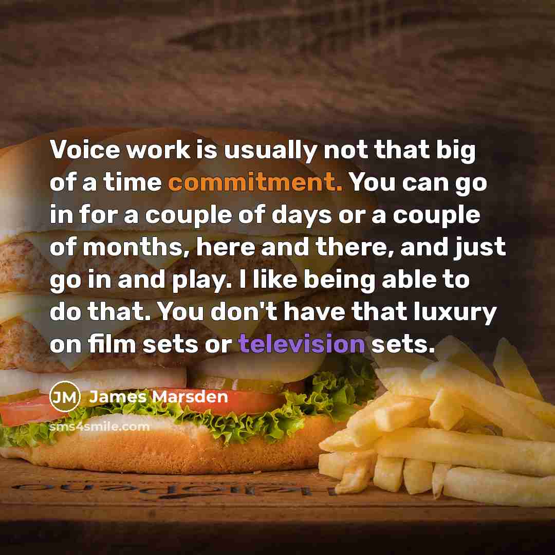 “Voice work is usually not that big of a time commitment. You can go in for a couple of days or a couple of months, here and there, and just go in and play. I like being able to do that. You don't have that luxury on film sets or television sets.” quote by James Marsden