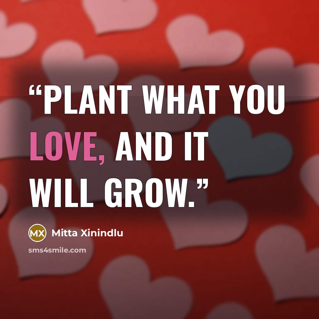 “Plant what you love, and it will grow.” quote by Mitta Xinindlu
