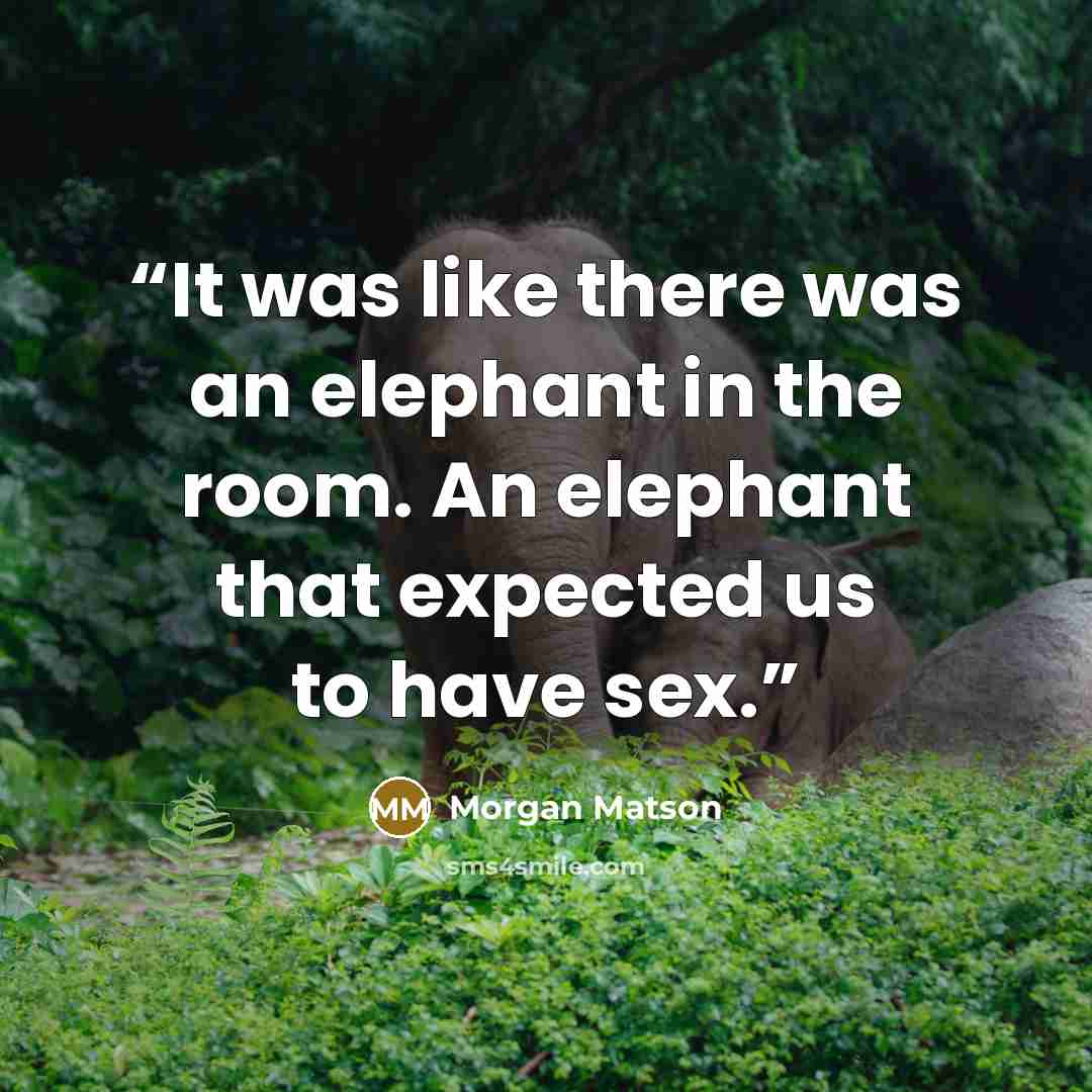 “It was like there was an elephant in the room. An elephant that expected us to have sex.” quote by Morgan Matson