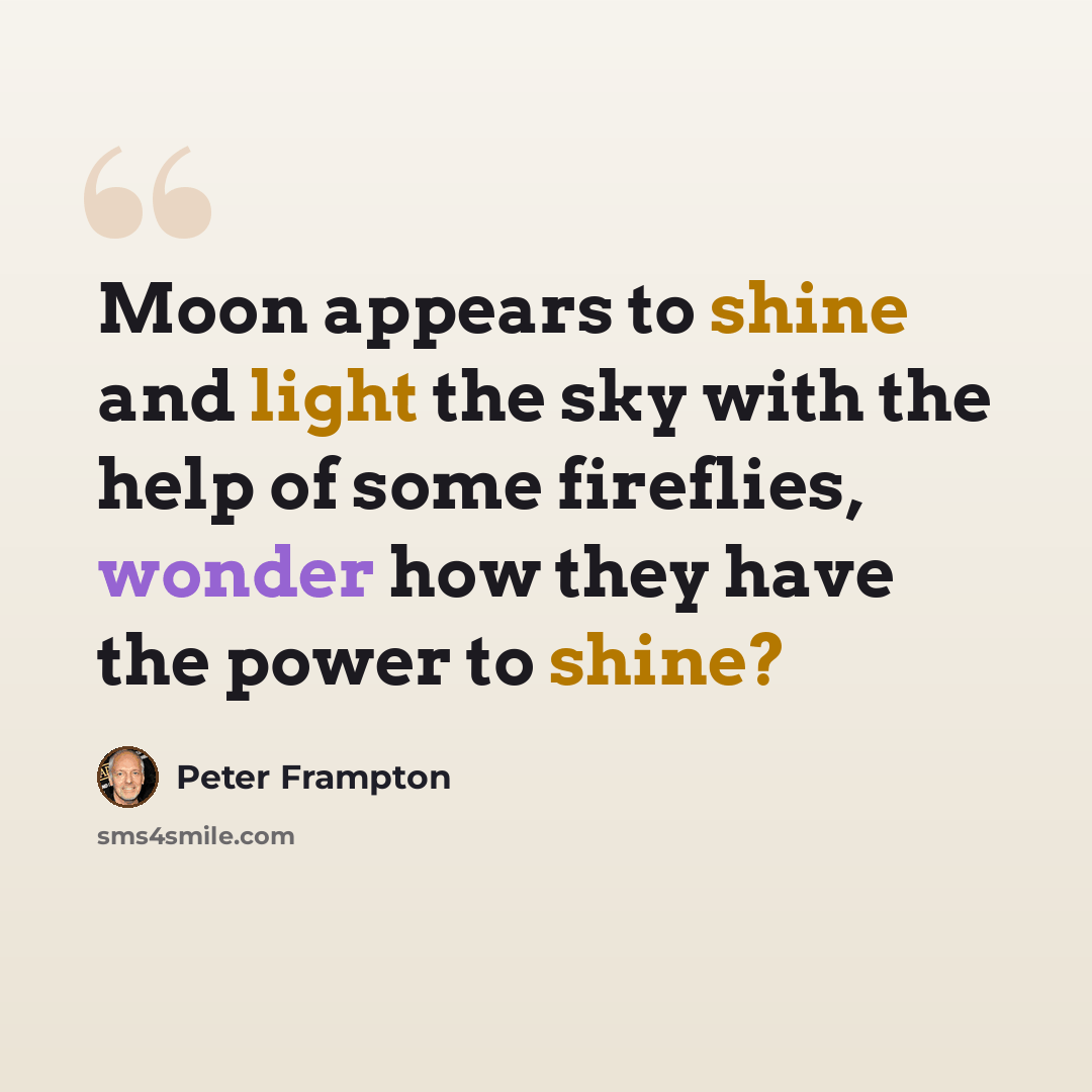 “Moon appears to shine and light the sky with the help of some fireflies, wonder how they have the power to shine?” quote by Peter Frampton