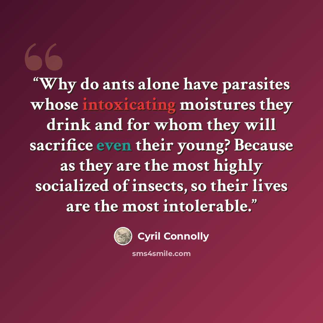 “Why do ants alone have parasites whose intoxicating moistures they drink and for whom they will sacrifice even their young? Because as they are the most highly socialized of insects, so their lives are the most intolerable.” quote by Cyril Connolly