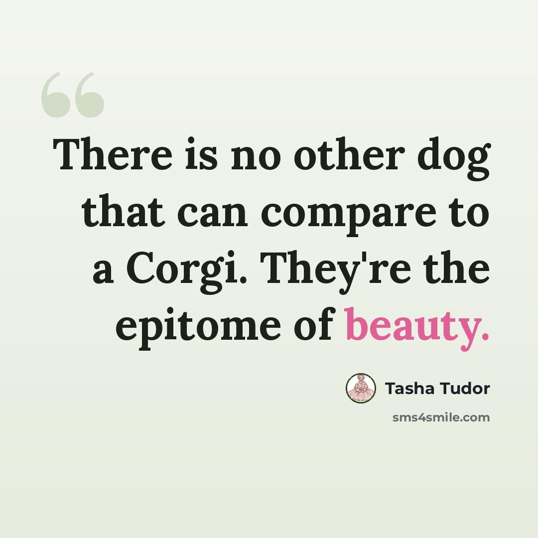 “There is no other dog that can compare to a Corgi. They're the epitome of beauty.” quote by Tasha Tudor