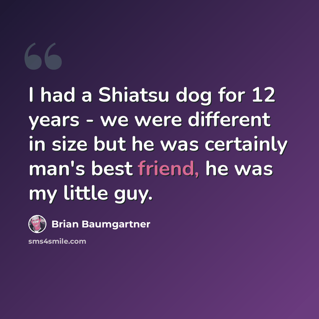 “I had a Shiatsu dog for 12 years - we were different in size but he was certainly man's best friend, he was my little guy.” quote by Brian Baumgartner