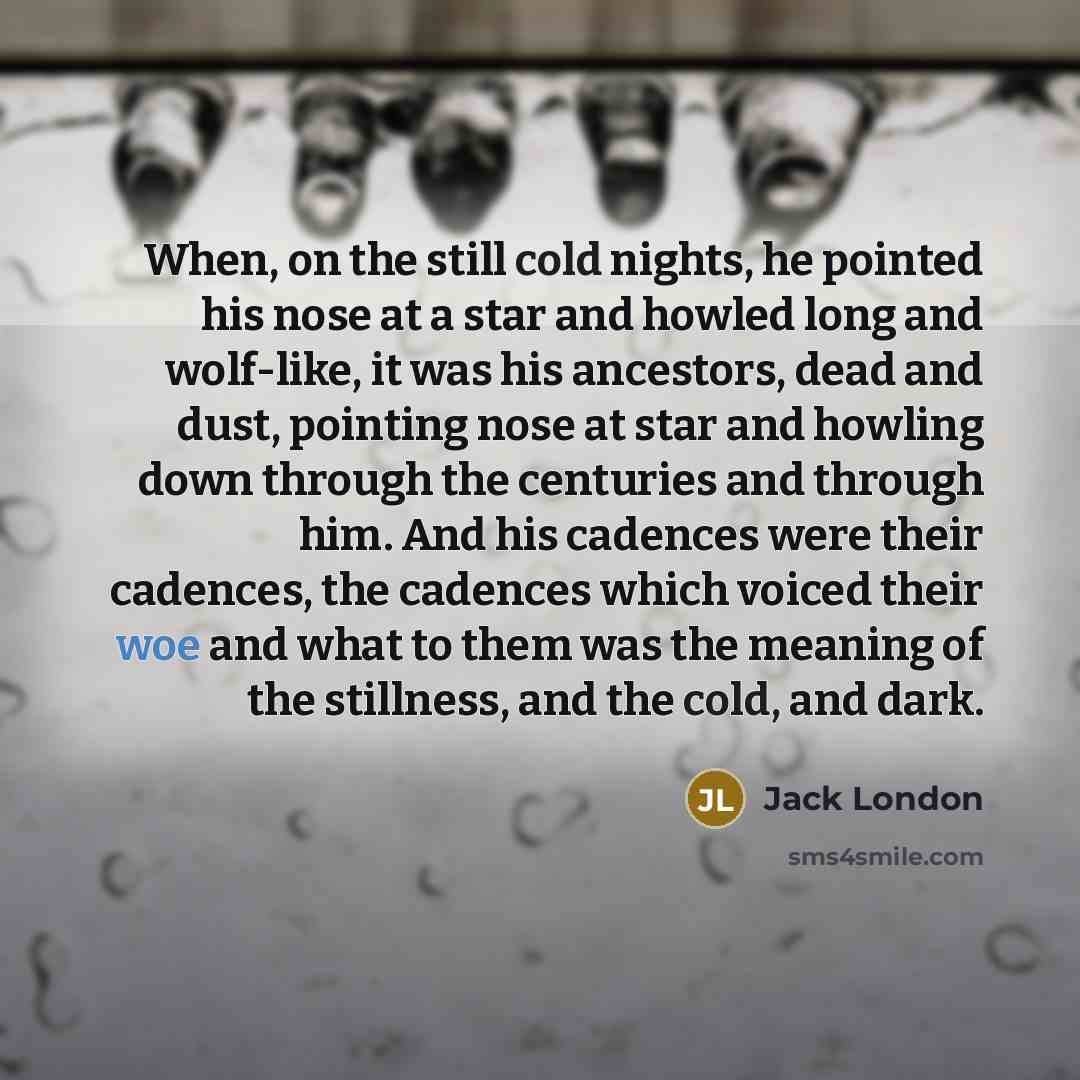“When, on the still cold nights, he pointed his nose at a star and howled long and wolf-like, it was his ancestors, dead and dust, pointing nose at star and howling down through the centuries and through him. And his cadences were their cadences, the cadences which voiced their woe and what to them…” quote by Jack London