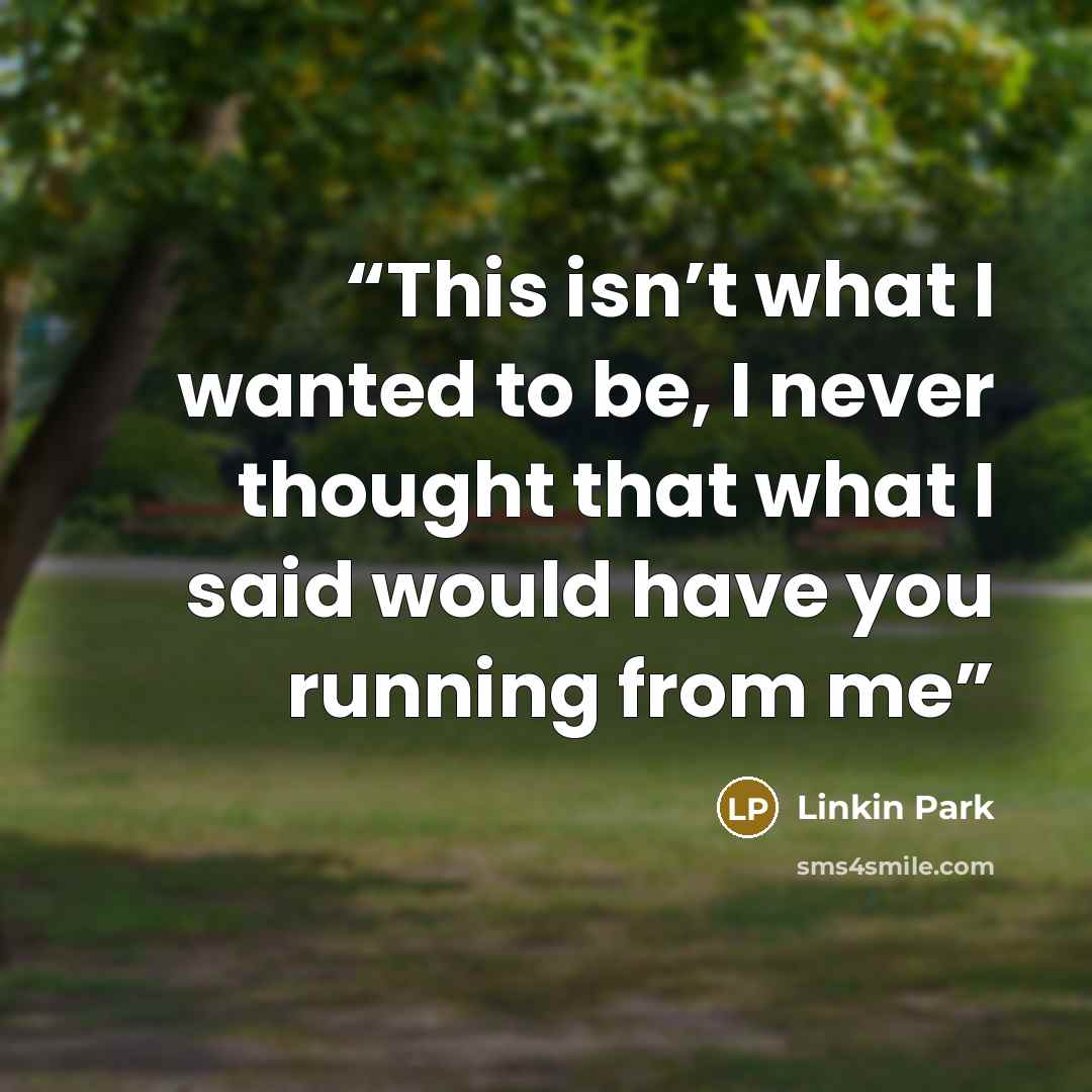 “This isn’t what I wanted to be, I never thought that what I said would have you running from me” quote by Linkin Park