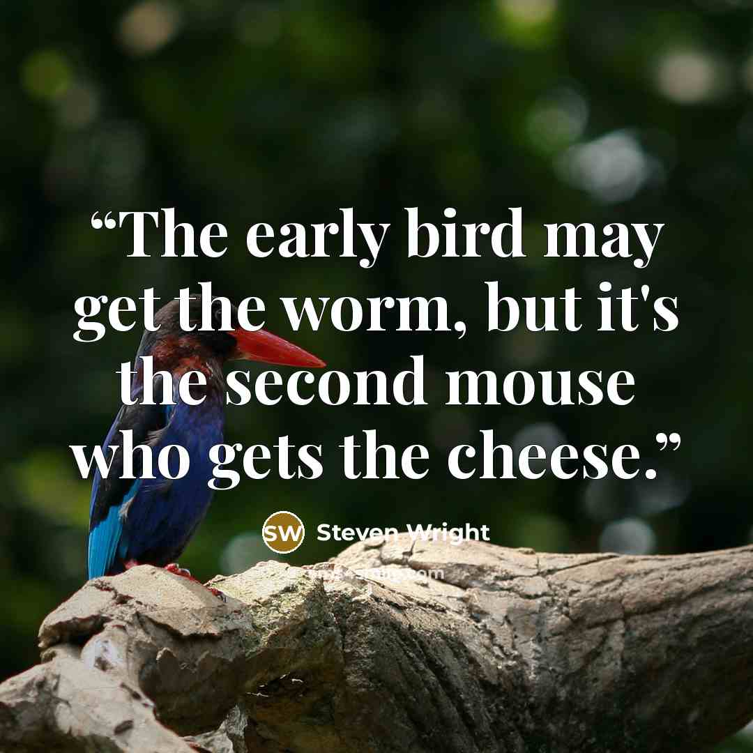 “The early bird may get the worm, but it's the second mouse who gets the cheese.” quote by Steven Wright