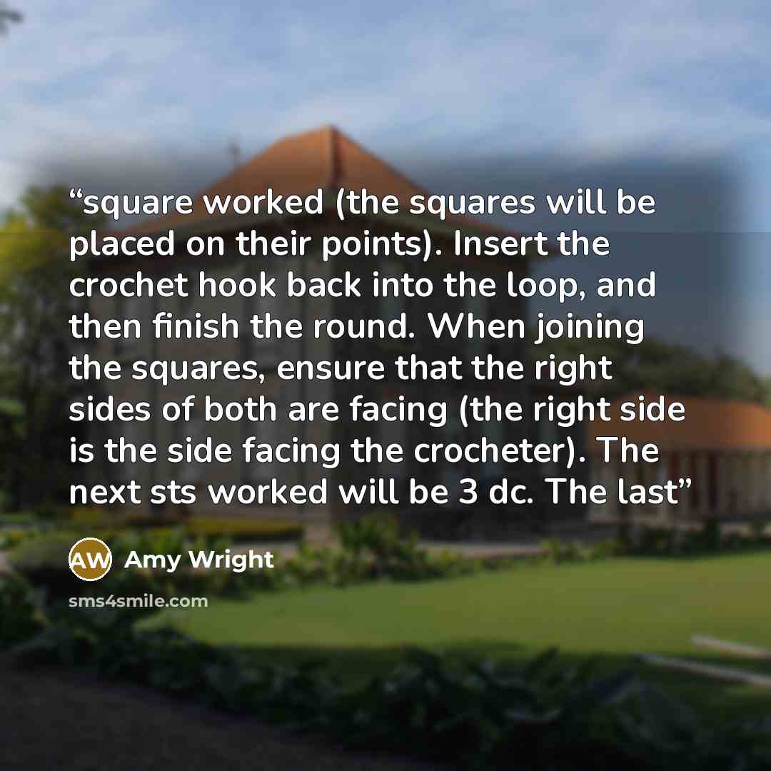 “square worked (the squares will be placed on their points). Insert the crochet hook back into the loop, and then finish the round. When joining the squares, ensure that the right sides of both are facing (the right side is the side facing the crocheter). The next sts worked will be 3 dc. The last” quote by Amy Wright