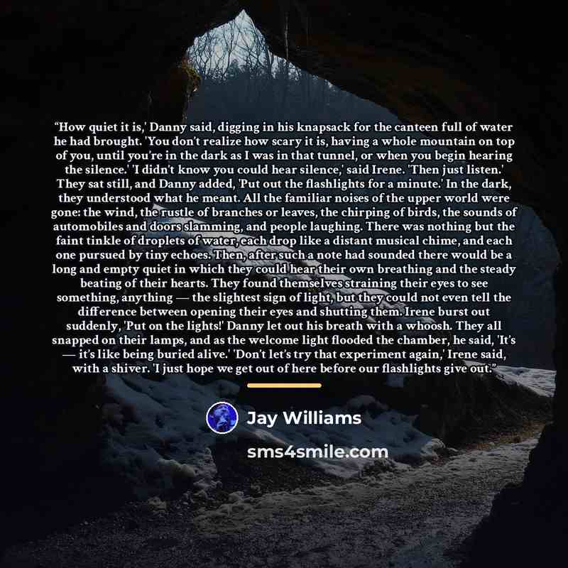 “How quiet it is,' Danny said, digging in his knapsack for the canteen full of water he had brought. 'You don’t realize how scary it is, having a whole mountain on top of you, until you’re in the dark as I was in that tunnel, or when you begin hearing the silence.' 'I didn’t know you could hear…” quote by Jay Williams