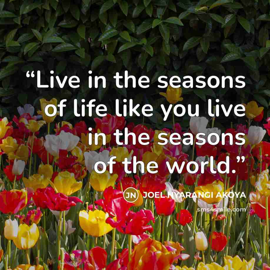 “Live in the seasons of life like you live in the seasons of the world.” quote by JOEL NYARANGI AKOYA