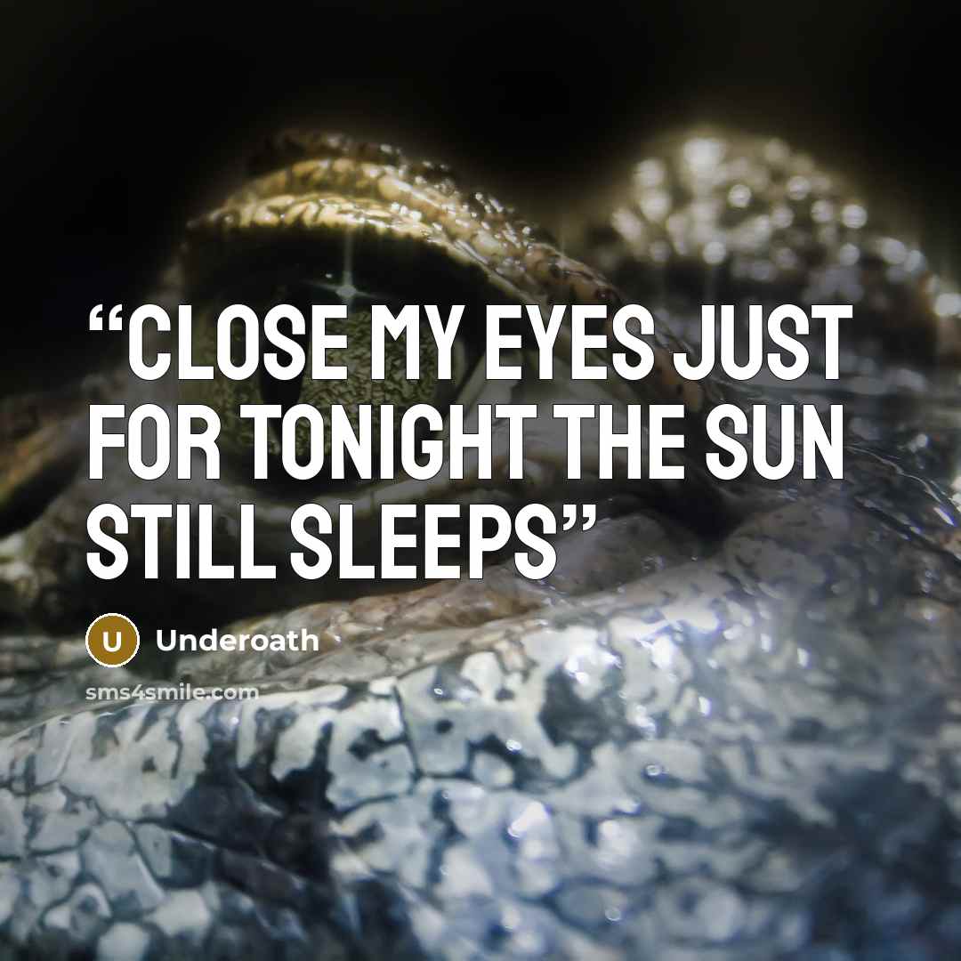 “Close my eyes just for tonight the sun still sleeps” quote by Underoath