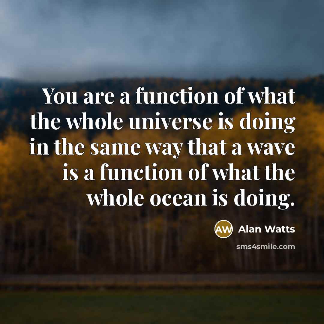 “You are a function of what the whole universe is doing in the same way that a wave is a function of what the whole ocean is doing.” quote by Alan Watts